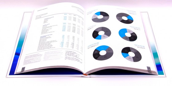 Annual Report 'ASTRA' (2)